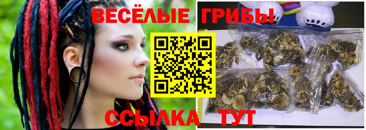 купить   Псилоцибиновые грибы Cubensis  Вход с VPN  Пенза 